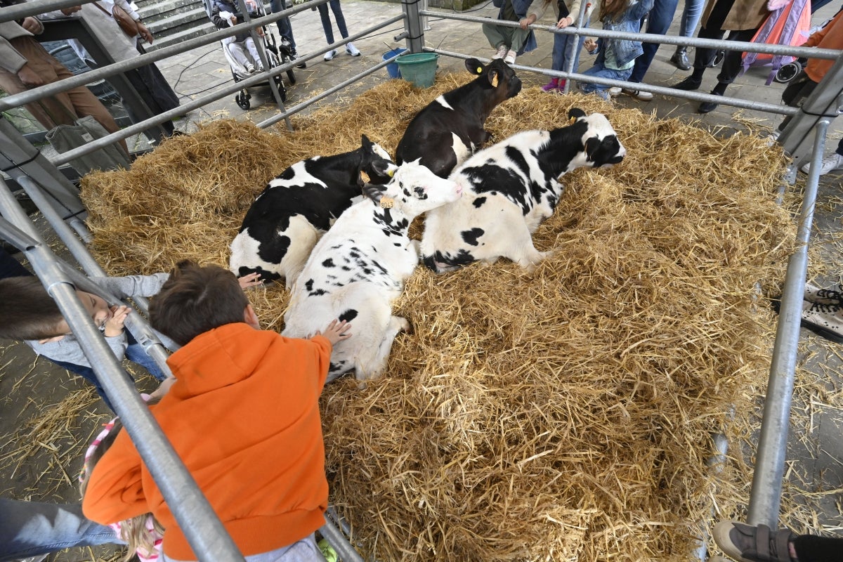 Gran ambiente en las jornadas Esneki