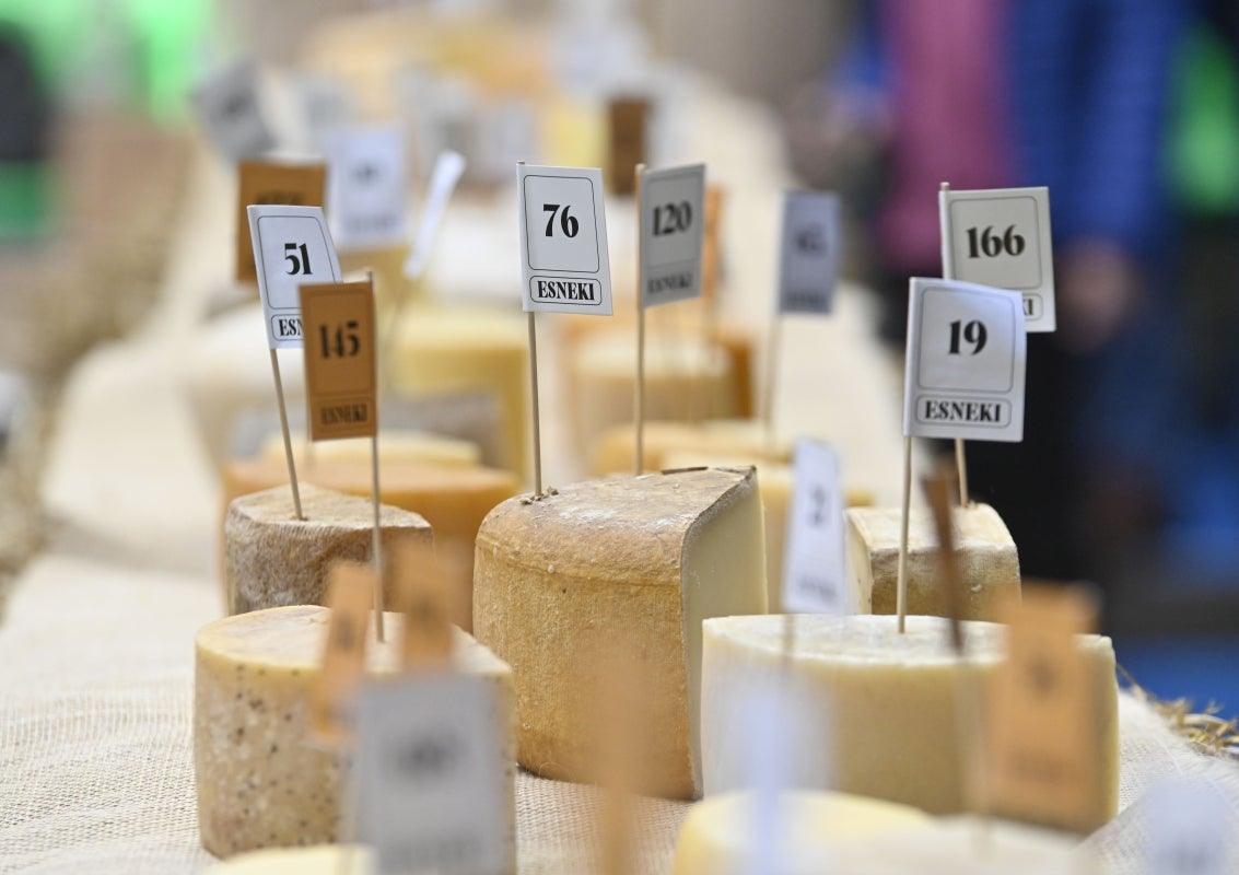 Gran ambiente en las jornadas Esneki