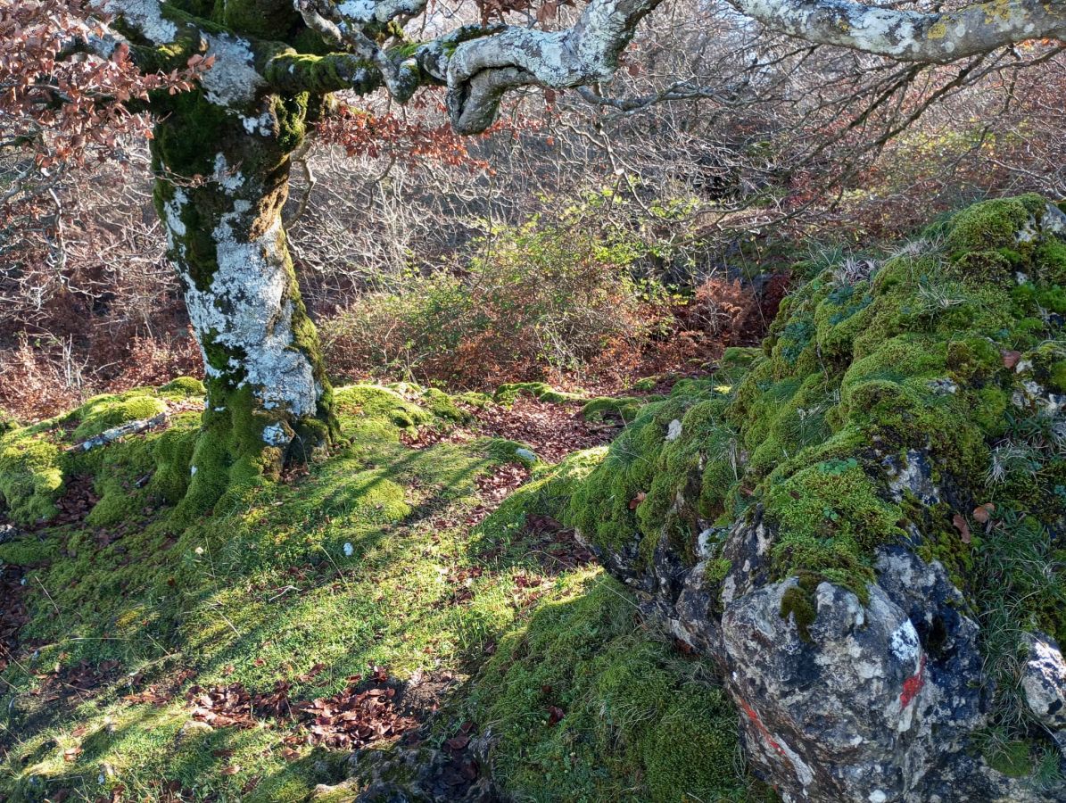 La belleza natural de Txumardegi