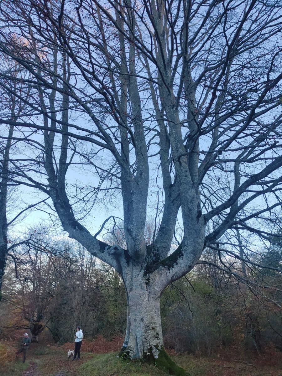 La belleza natural de Txumardegi