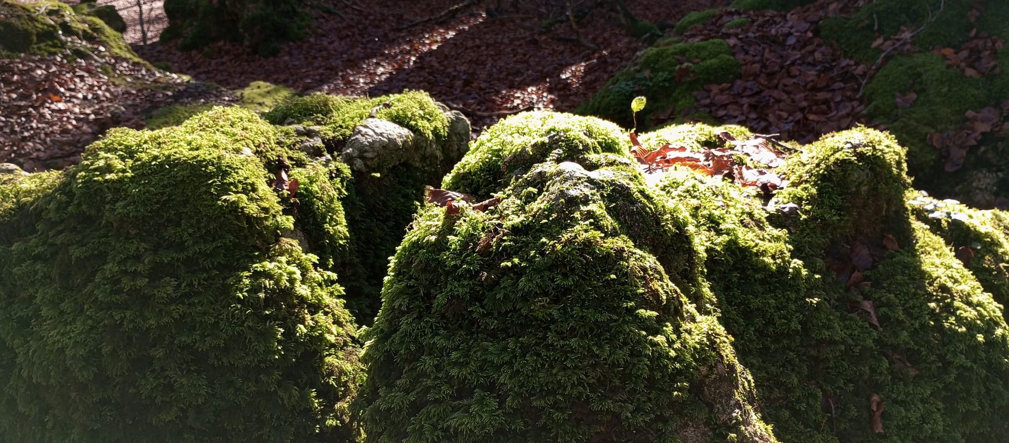 La belleza natural de Txumardegi