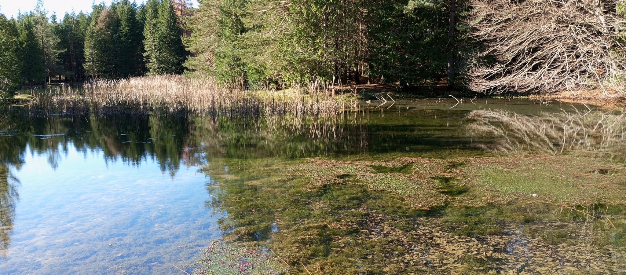 La belleza natural de Txumardegi