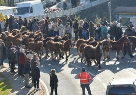 La entrada de caballar al trote por el puente fue seguida por muchos vecinos.