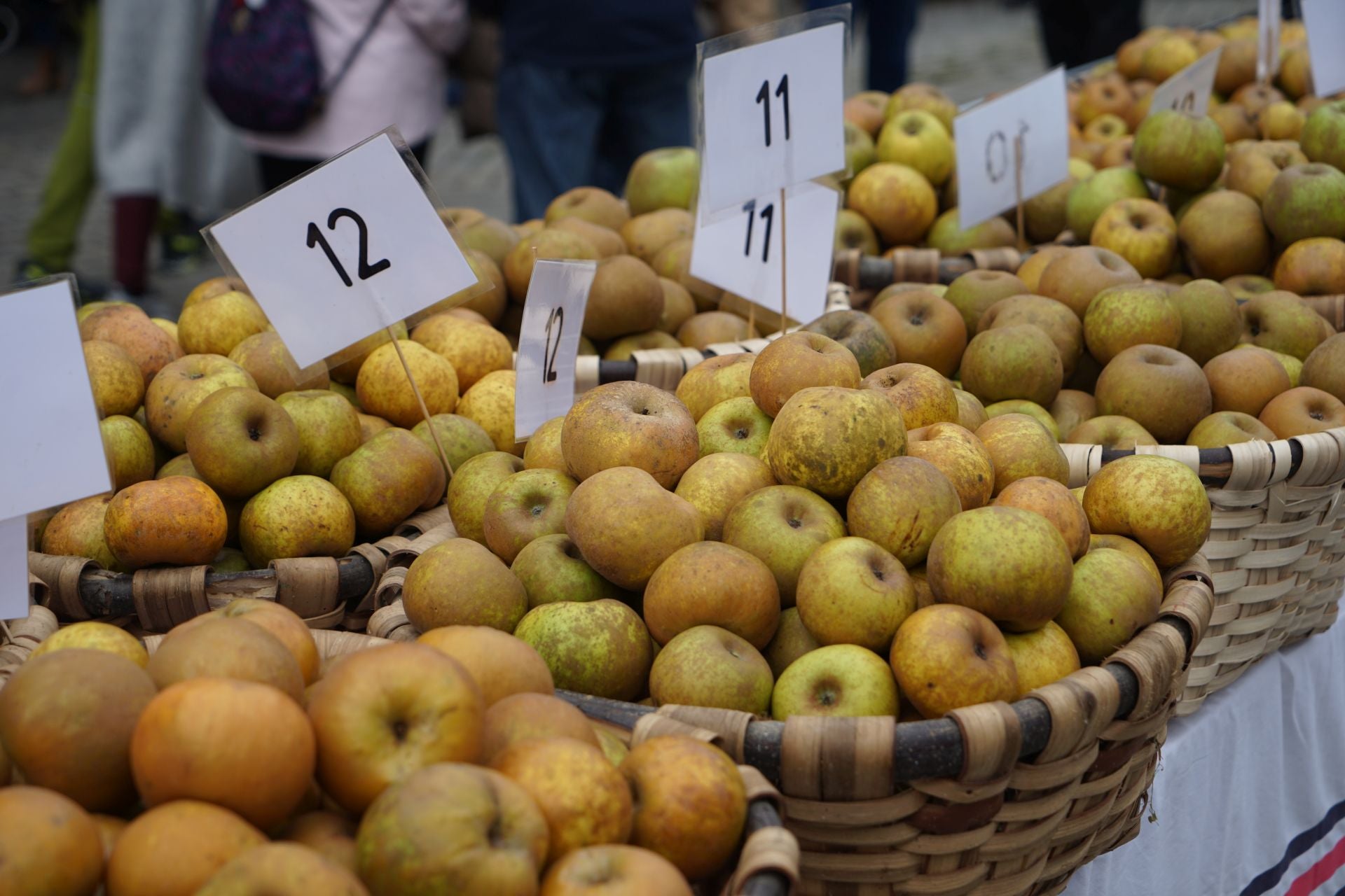 Gabirian ospatutako sagar azokaren argazkiak
