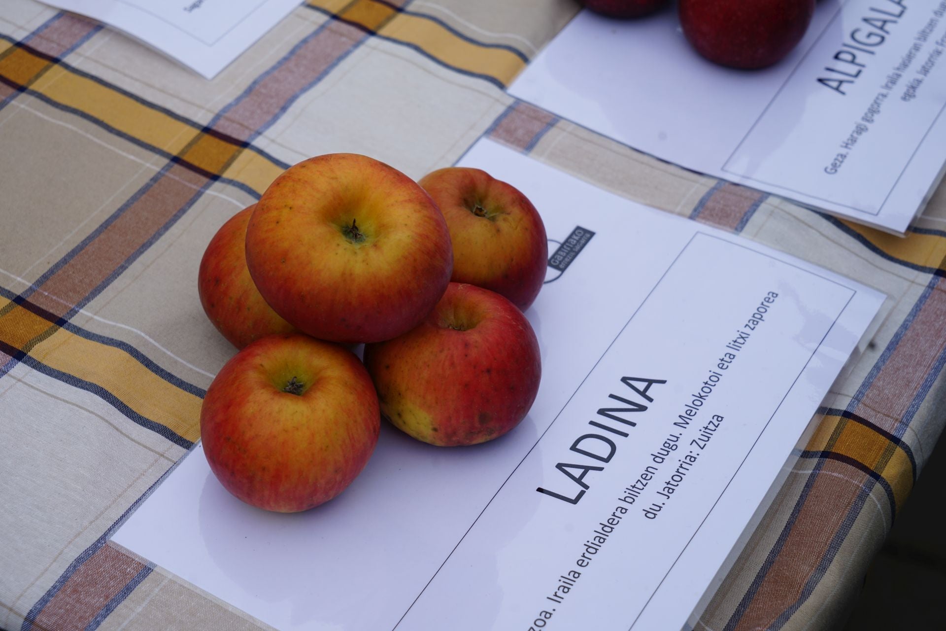 Gabirian ospatutako sagar azokaren argazkiak