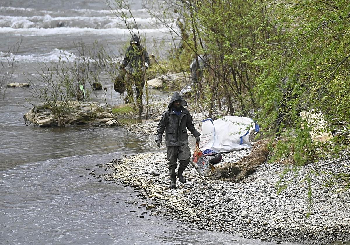 Limpieza llevada a cabo el año pasado en el río Oria en Tolosa