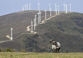 Molinos del Parque de Elguea, el único en funcionamiento en Gipuzkoa.