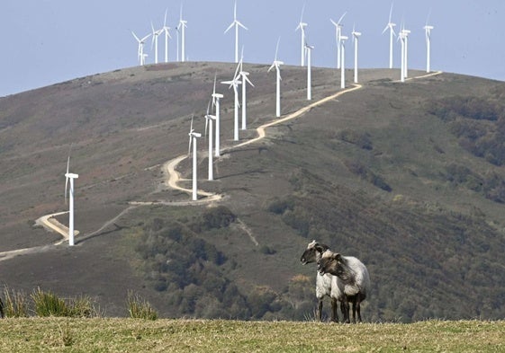 Molinos del Parque de Elguea, el único en funcionamiento en Gipuzkoa.