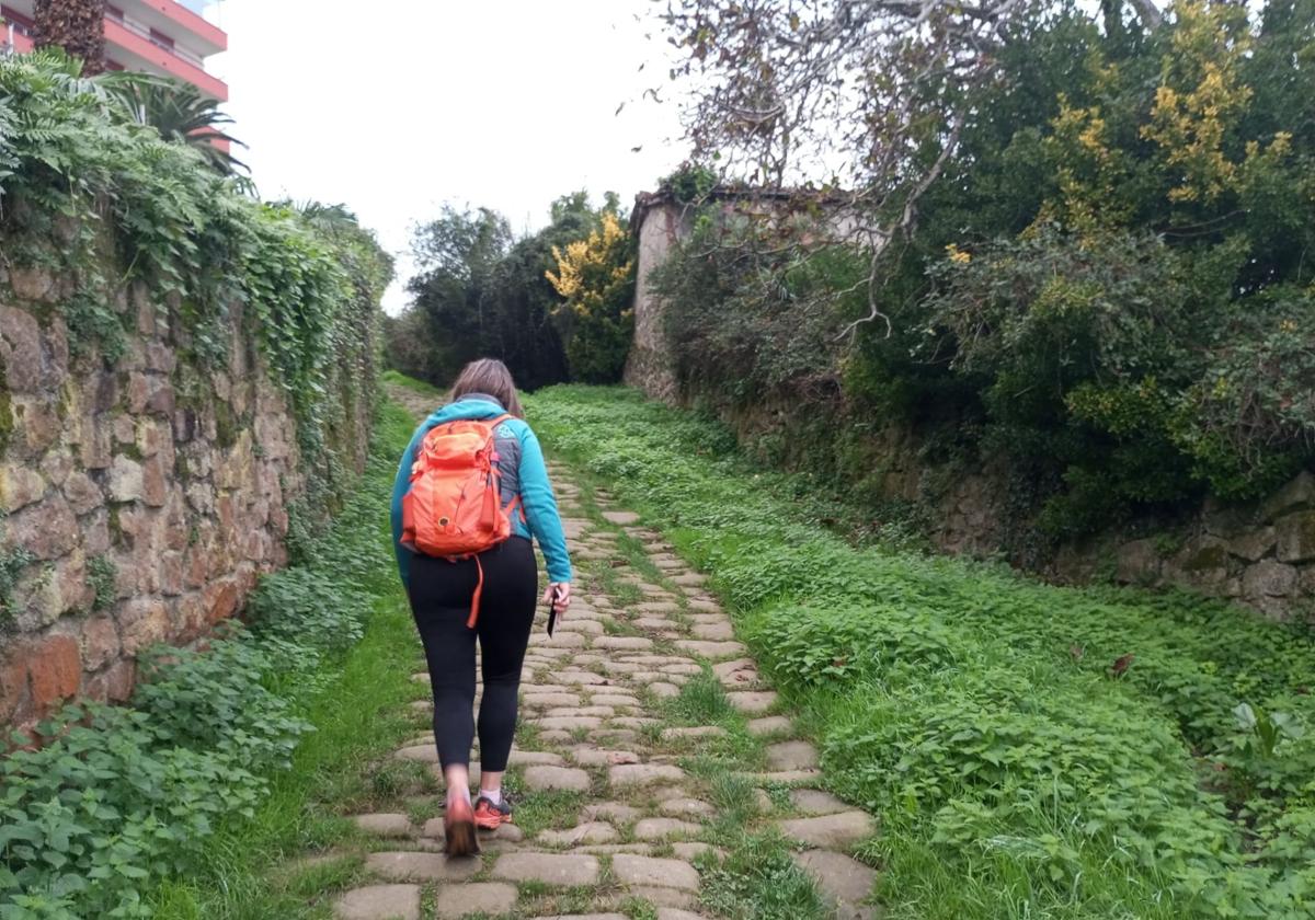 San Antón, una ruta entre viñedos y el mar
