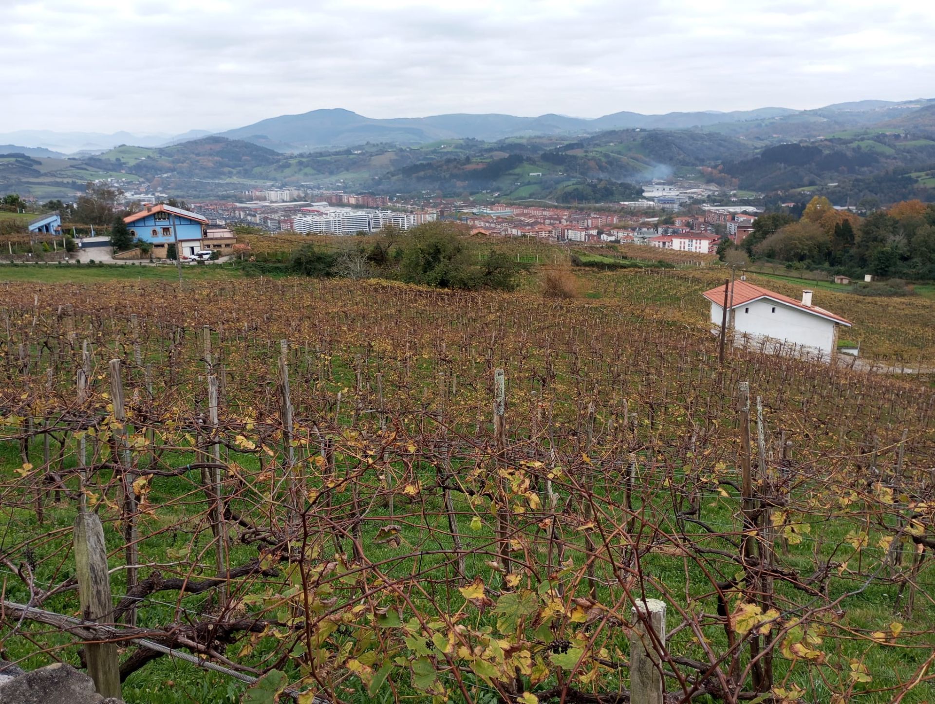 San Antón, una ruta entre viñedos y el mar