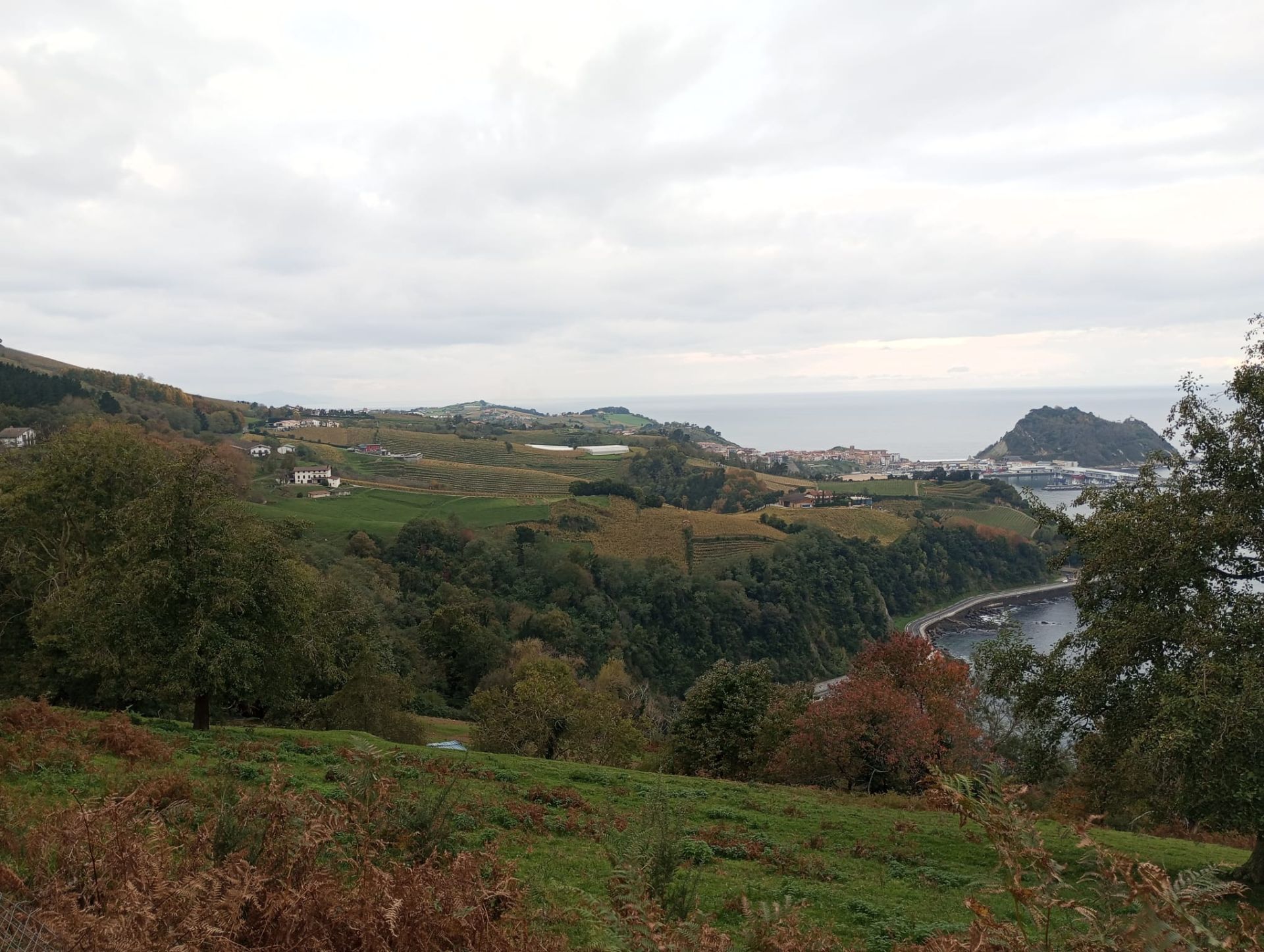 San Antón, una ruta entre viñedos y el mar