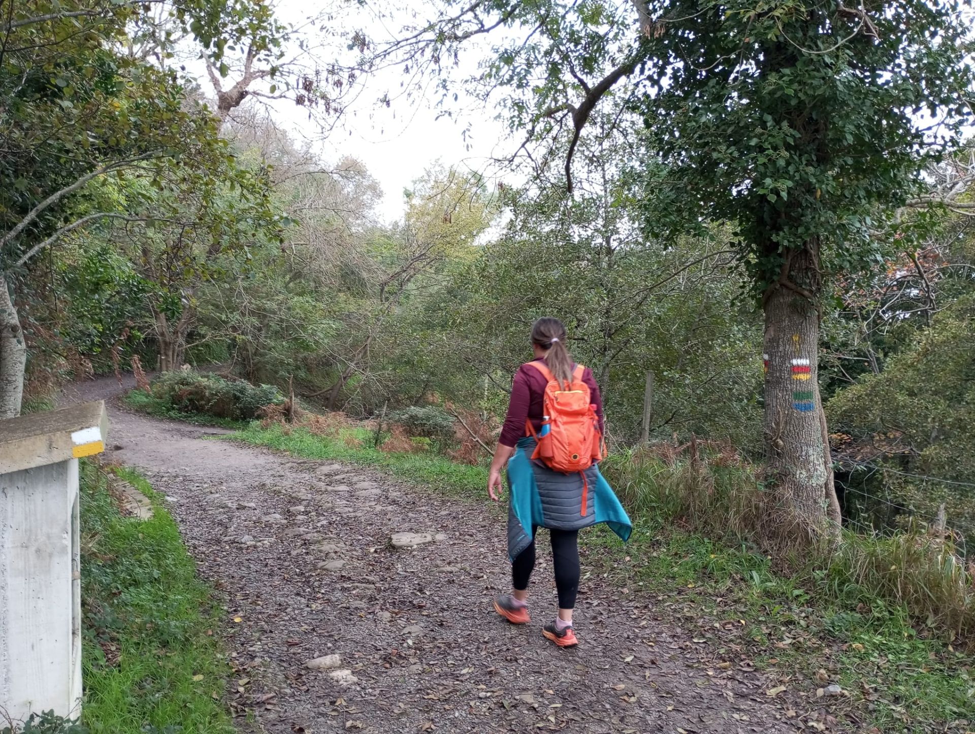 San Antón, una ruta entre viñedos y el mar