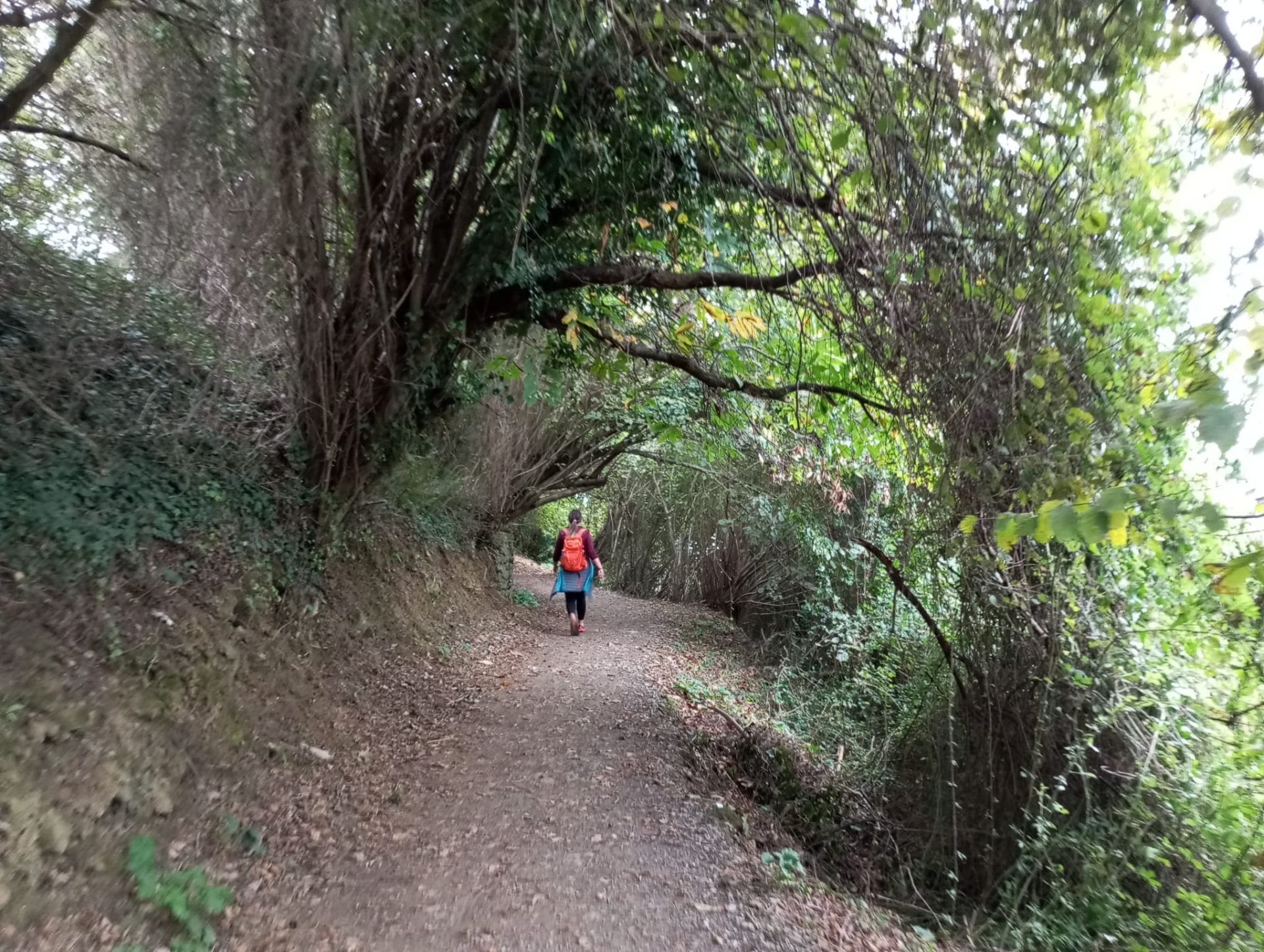 San Antón, una ruta entre viñedos y el mar