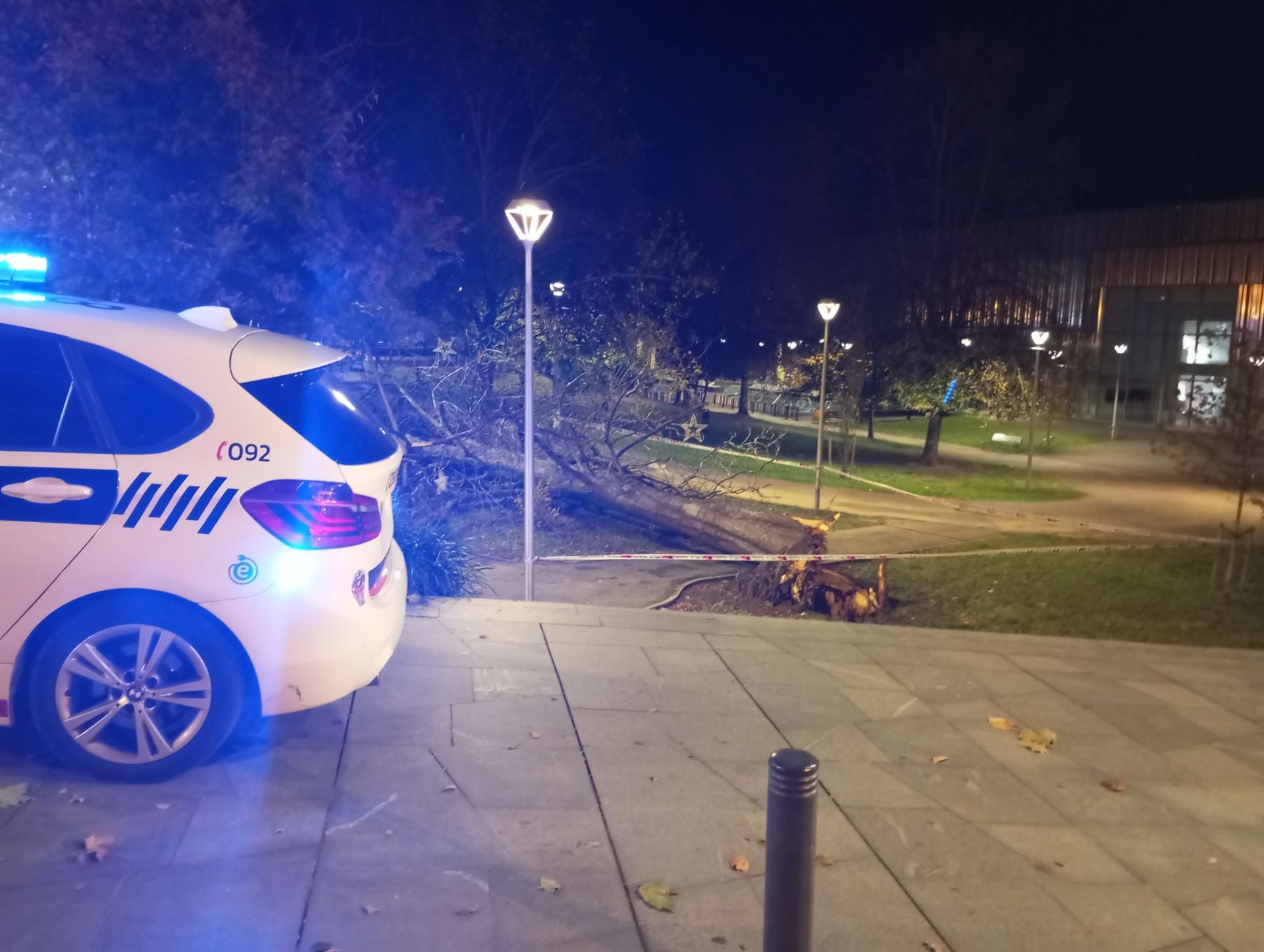 La zona en donde el fuerte viento derribó un árbol a las 3.30 de la madrugada en el parque Sargia de Irun fue acordonada.