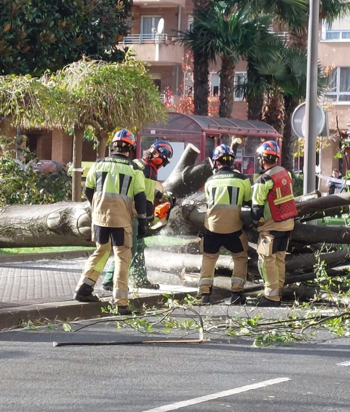 Imagen secundaria 2 - El árbol caído en la calle Pantxita Etxezarreta de Zumaia.