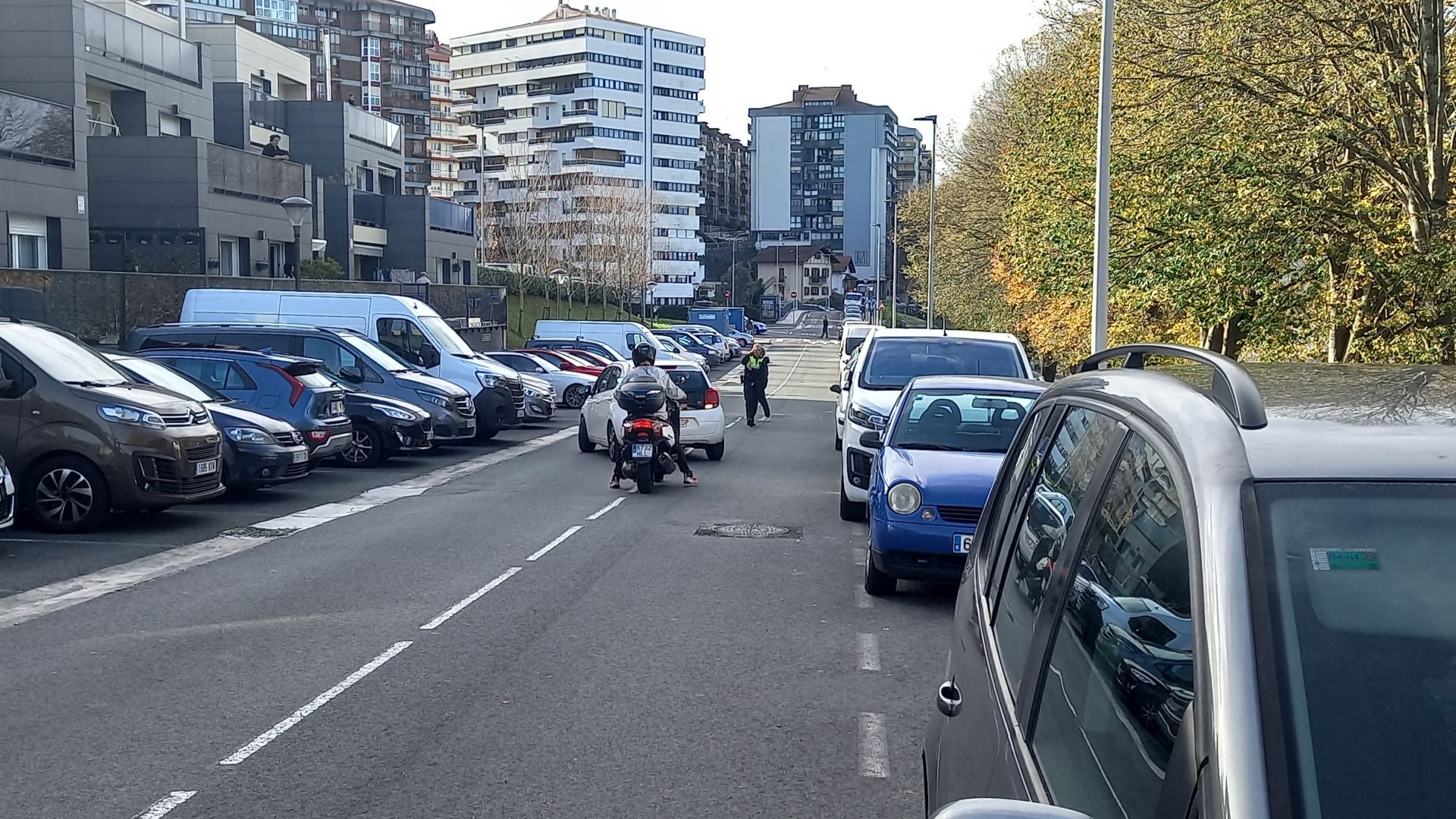 La Ertzaintza y la Policía Municipal han cortado la N-1 a la altura de Behobia, cerca de la frontera por riesgo de caída de varios Tilos y también han cortado la calle Darío de Regoyos en Irun.