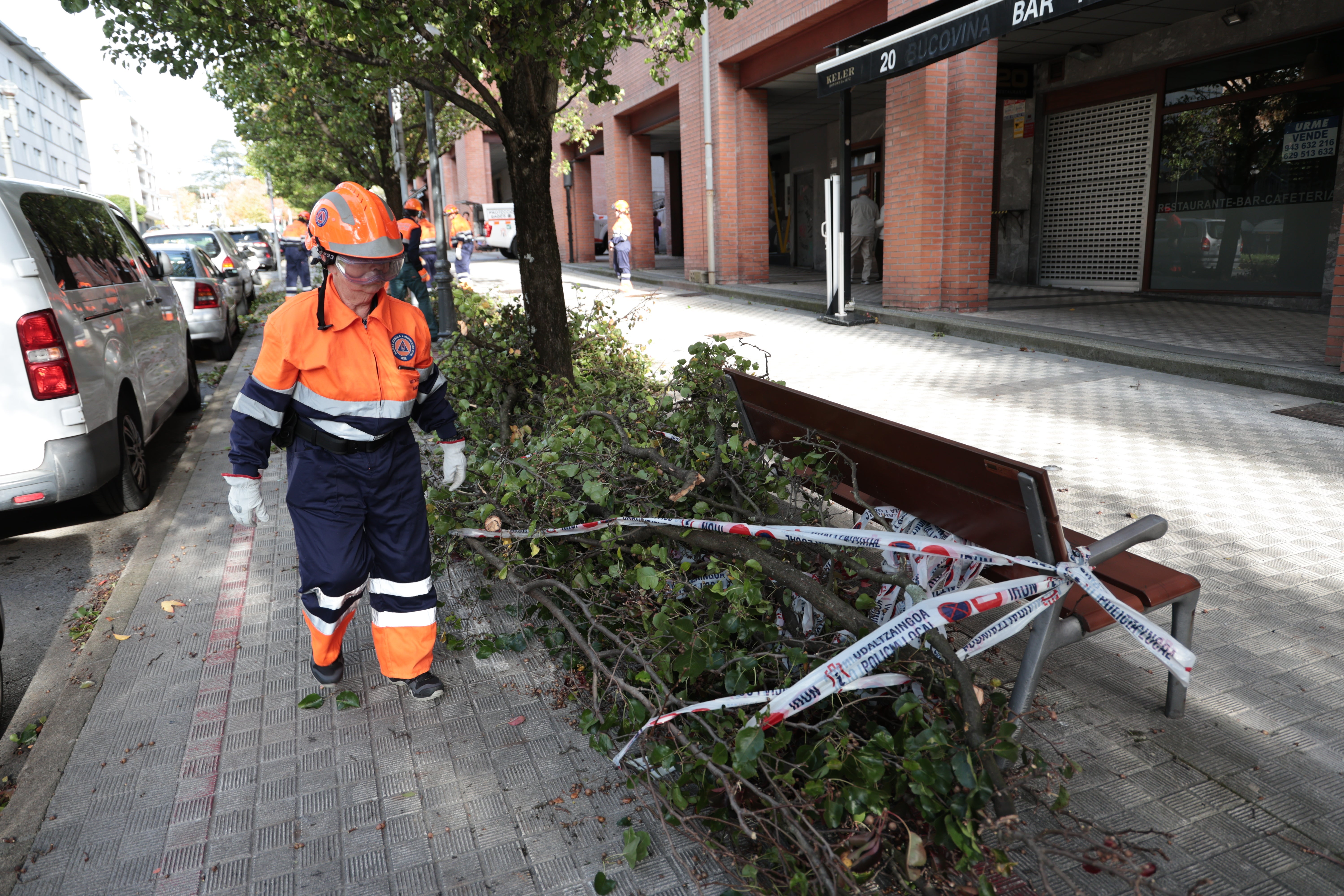 Varios efectivos de protección civil cortando las ramas de un árbol caído en Irun.