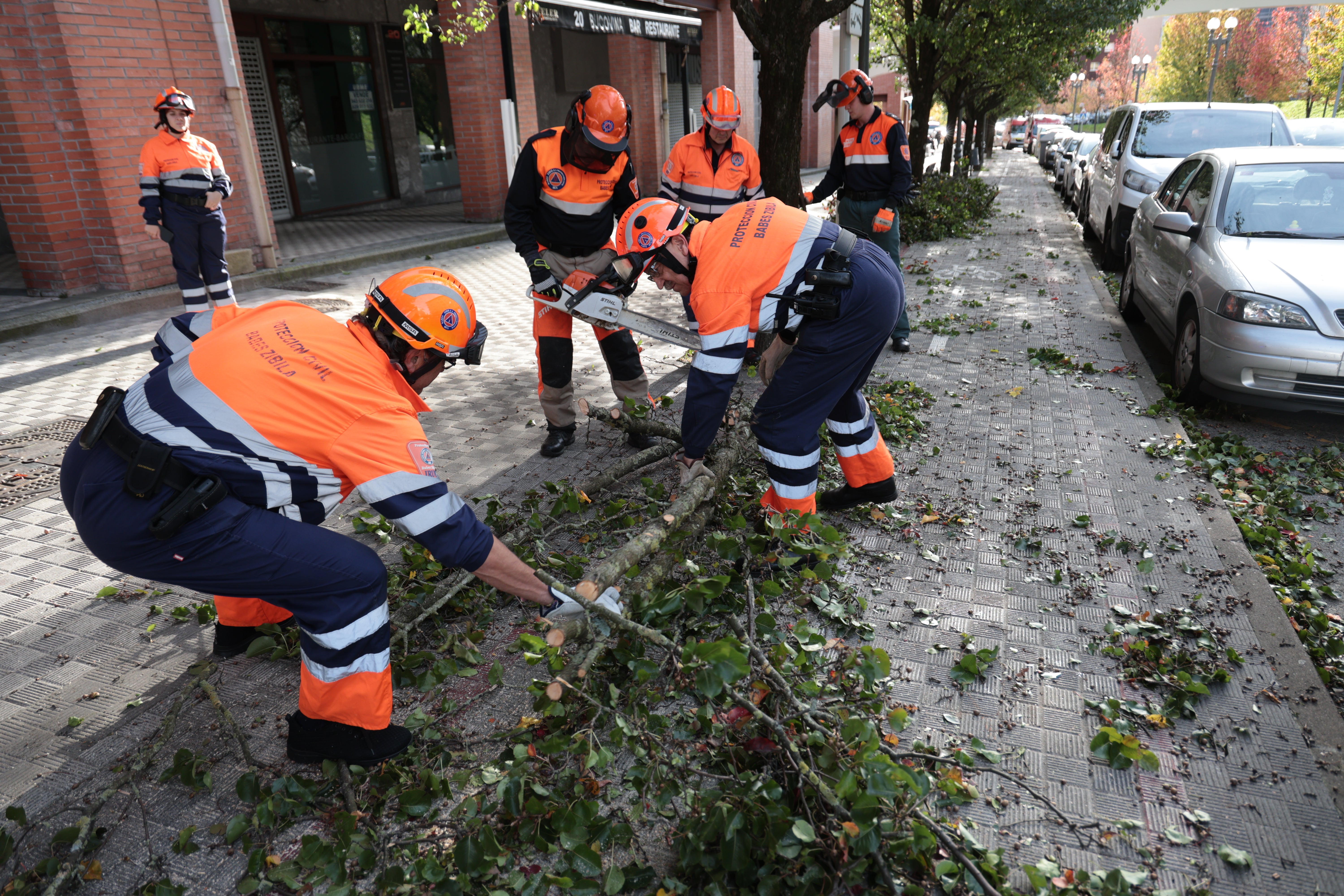 Varios efectivos de protección civil cortando las ramas de un árbol caído en Irun.