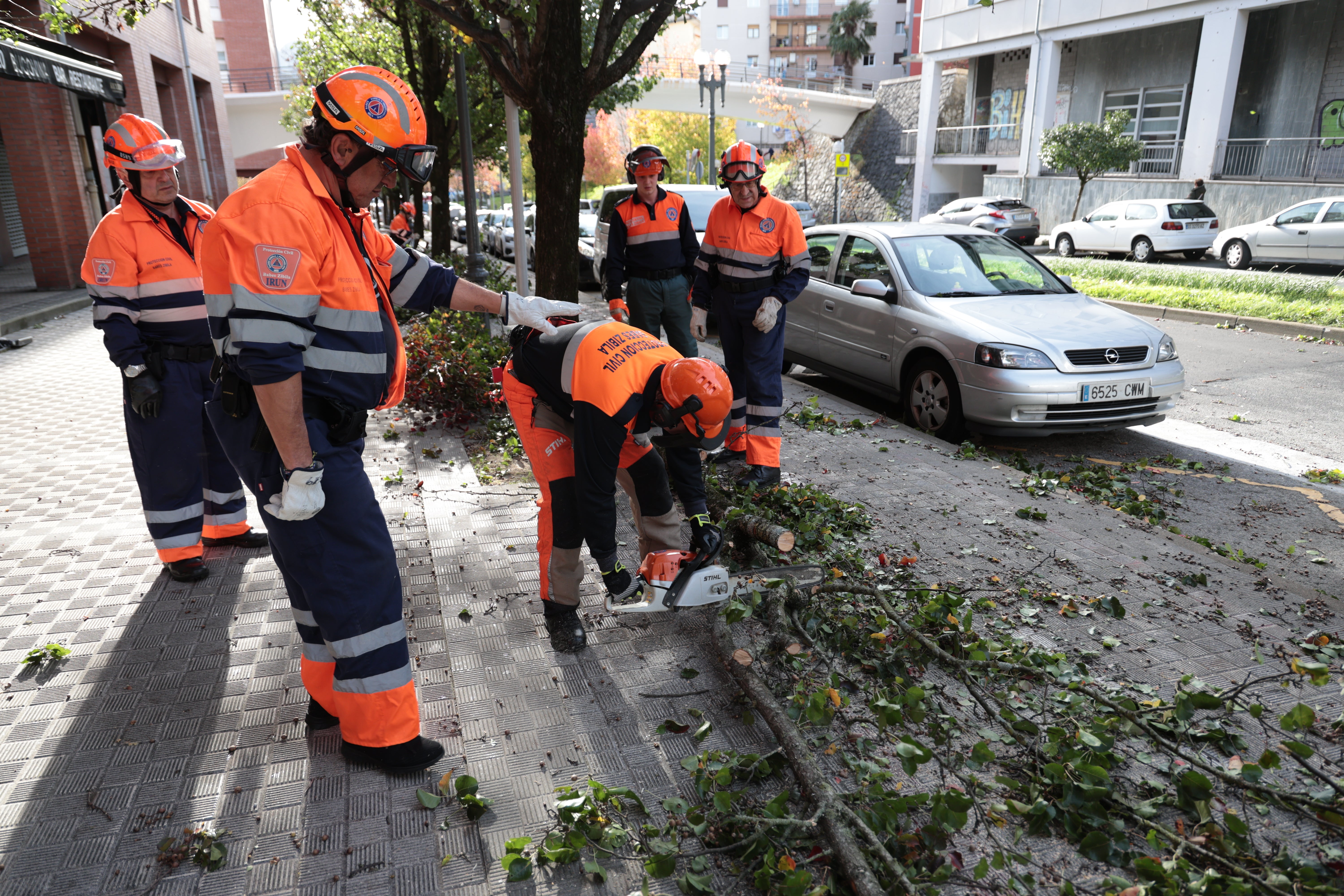 Varios efectivos de protección civil cortando las ramas de un árbol caído en Irun.