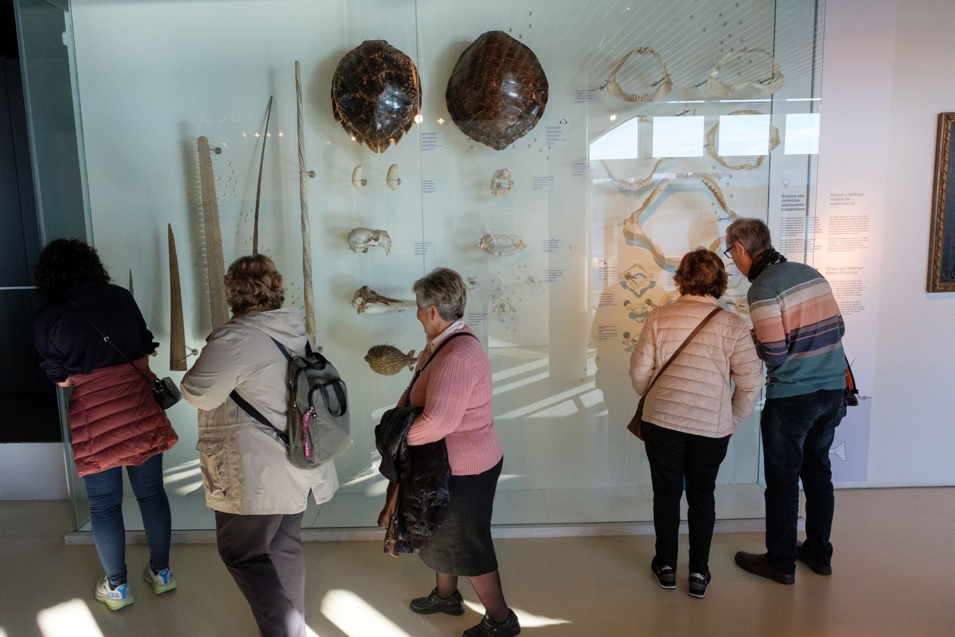 Visita al Aquarium de los suscriptores de El Diario Vasco