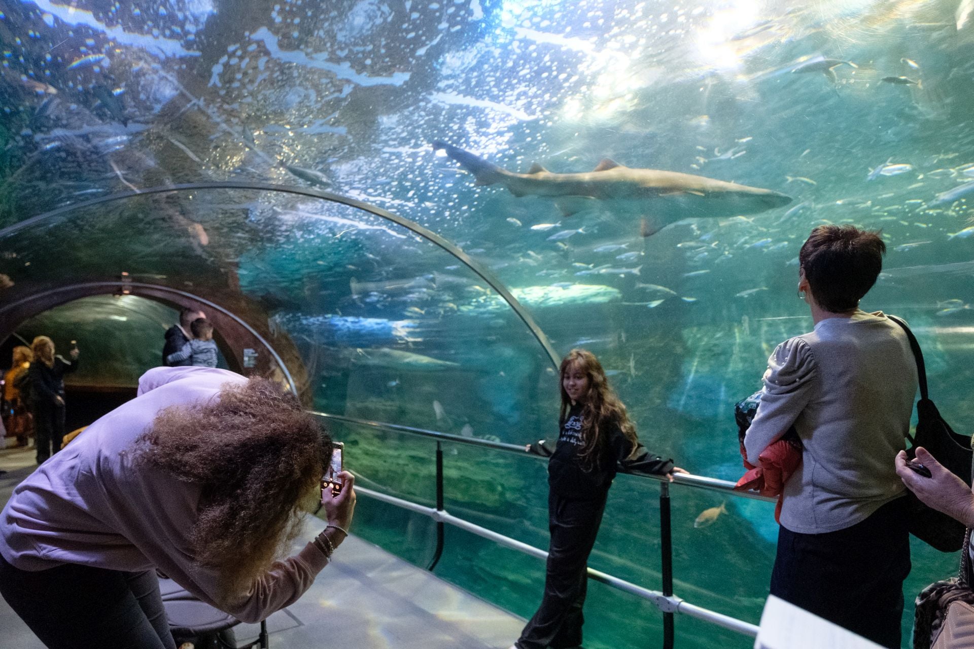 Visita al Aquarium de los suscriptores de El Diario Vasco