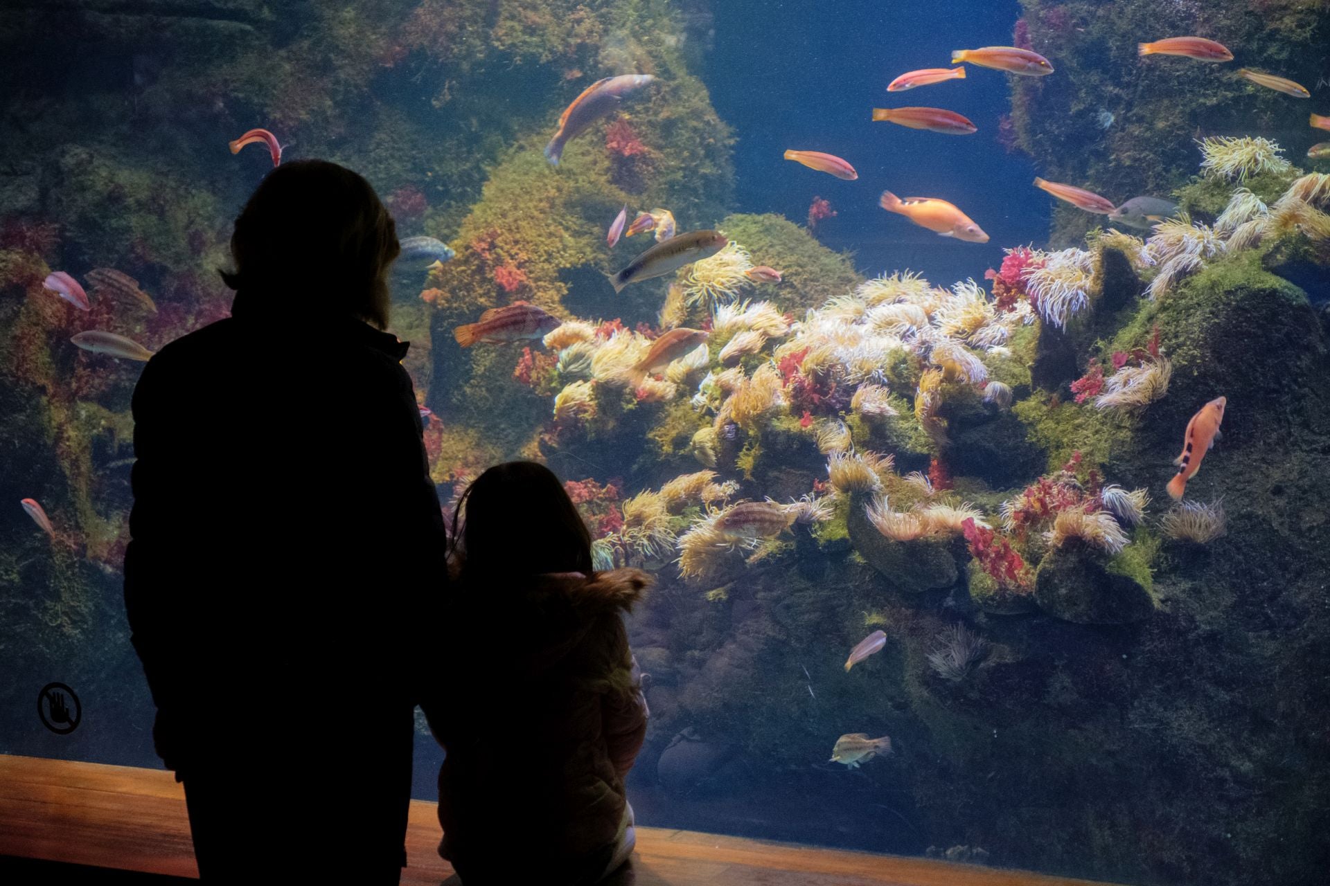 Visita al Aquarium de los suscriptores de El Diario Vasco