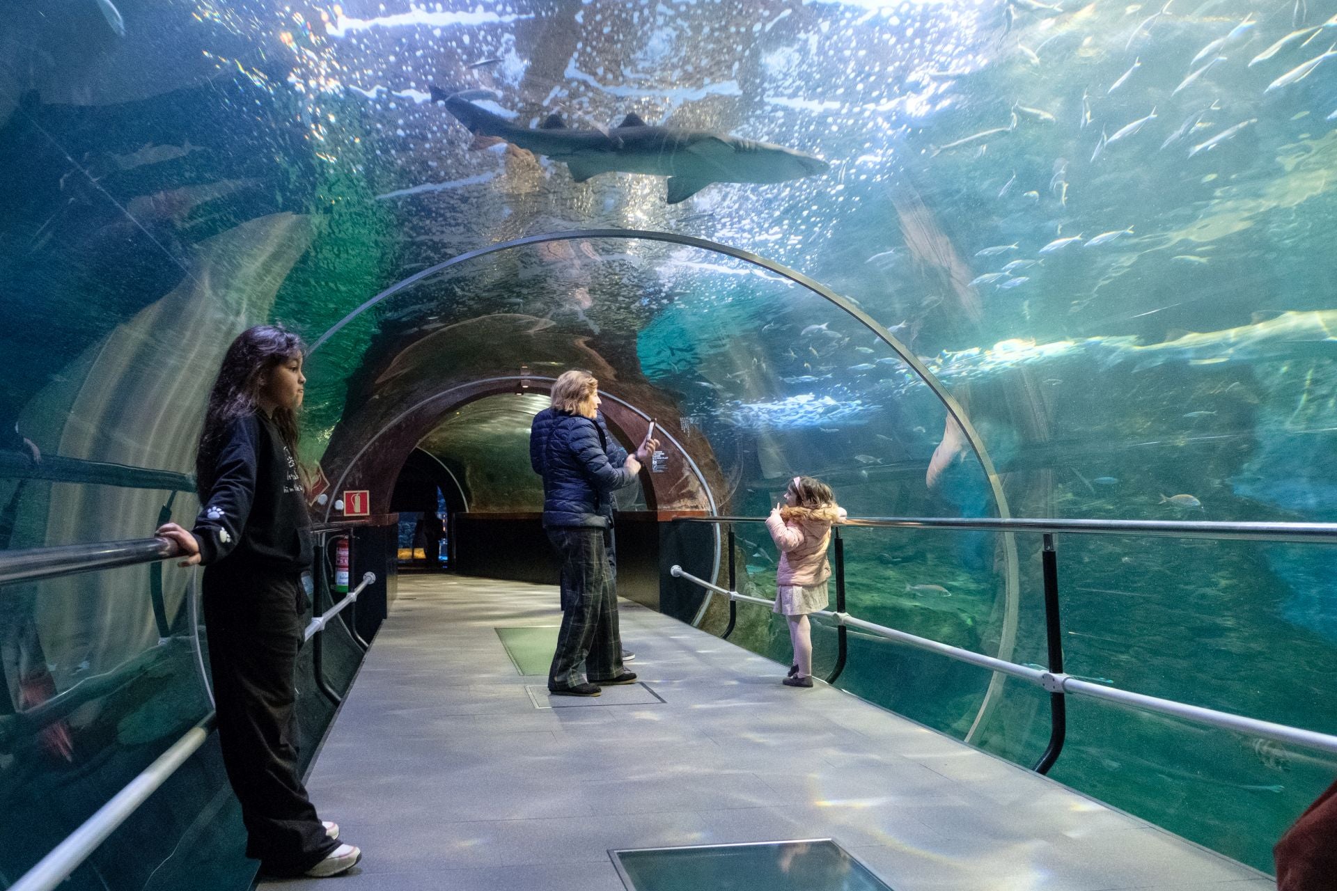 Visita al Aquarium de los suscriptores de El Diario Vasco