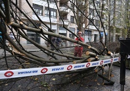 Las consecuencias del temporal de viento y lluvia en Gipuzkoa