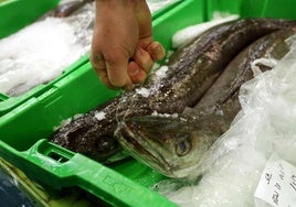 «Agridulce» reparto de cuotas de pesca para Euskadi: Bajan las de verdel y merluza pero aumentan ligeramente las de chicharro