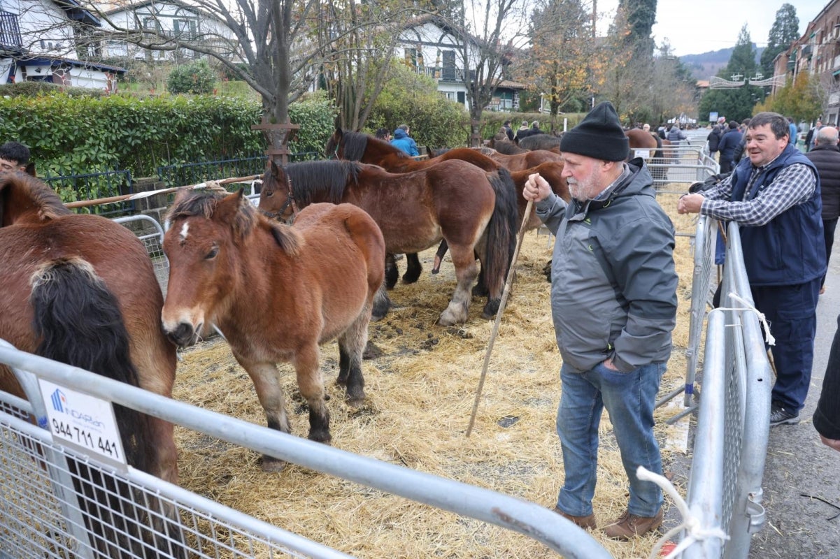 Gran ambiente en la feria de Santa Lucía