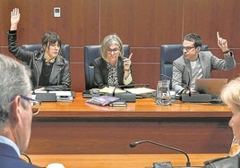 Etxeberria, Kortajarena y Otxandiano votan durante la comisión en la que se aprobó el dictamen. .