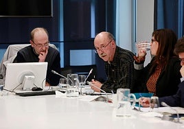 Amador Biteri, de Dendartean, durante su intervención en la ponencia de la reforma fiscal.