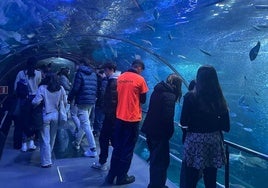 Visita al Aquarium de los participantes en la First LEGO League.