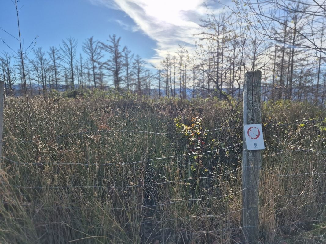 La ruta a Aldura, en imágenes