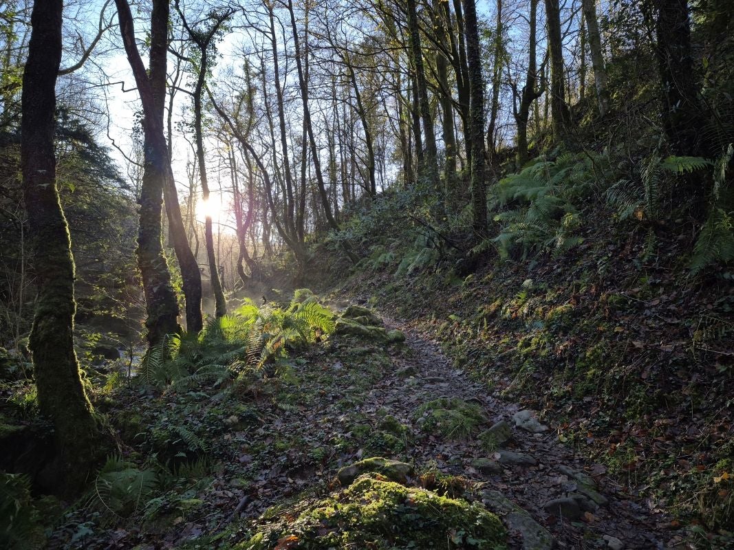La ruta a Aldura, en imágenes