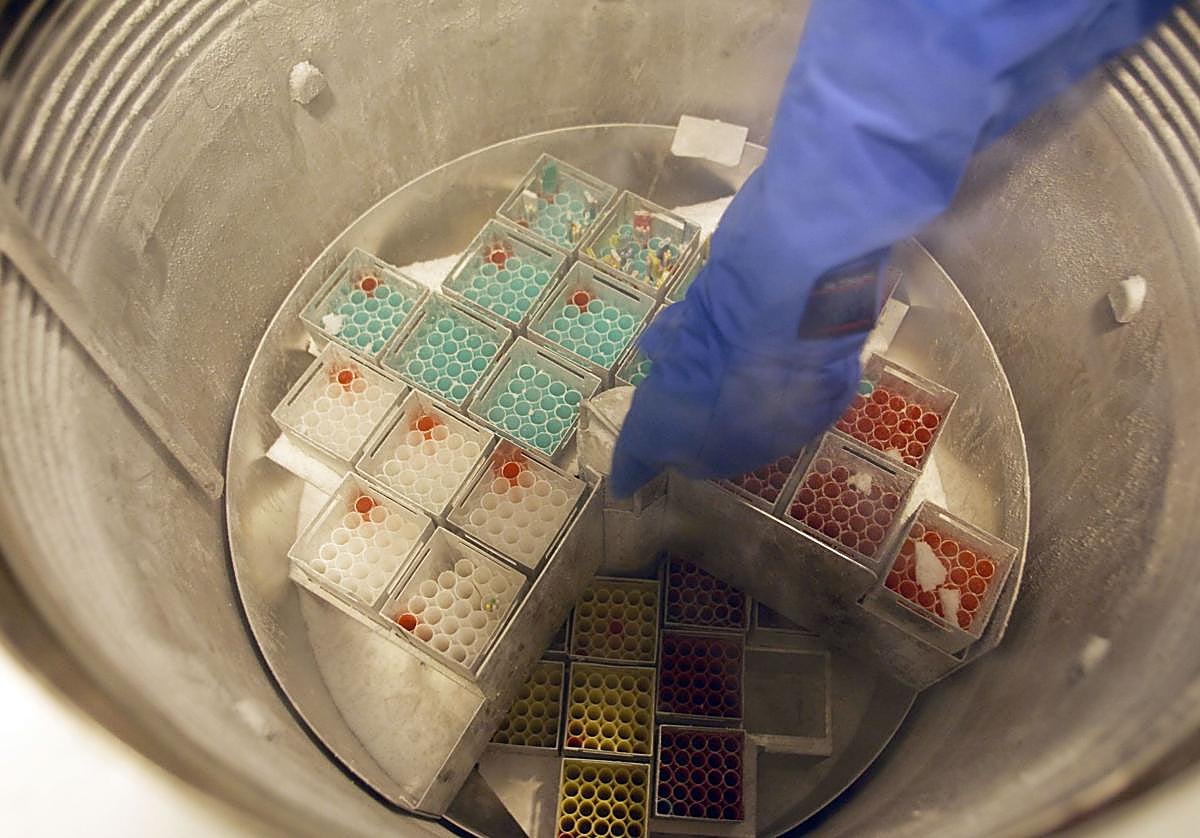 Muestras de esperma congeladas en una clícina de reproducción asistida.