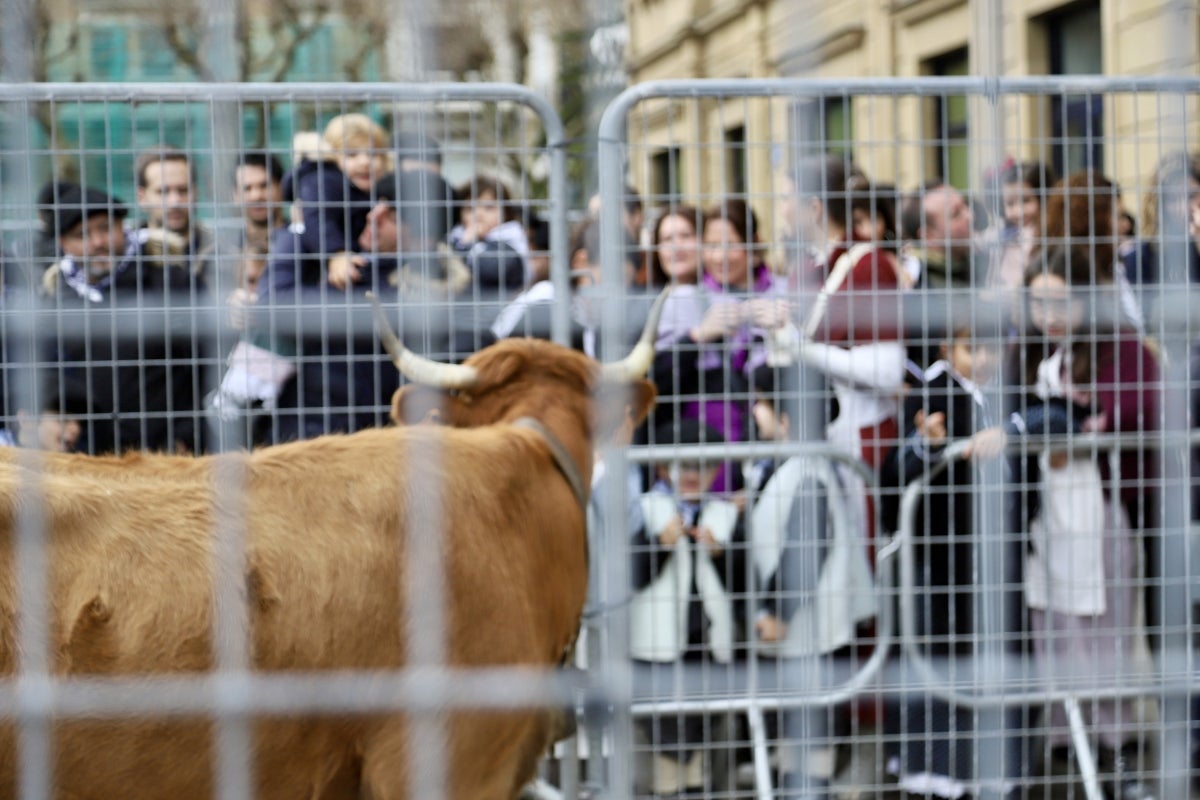 Donostia disfruta de su feria de Santo Tomás