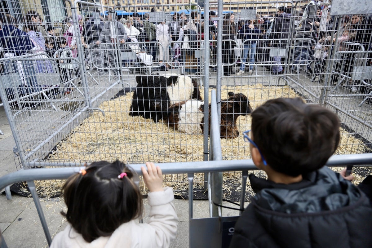 Donostia disfruta de su feria de Santo Tomás