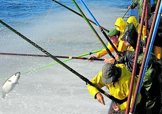 Las posibilidades de pesca: de la ciencia al plato