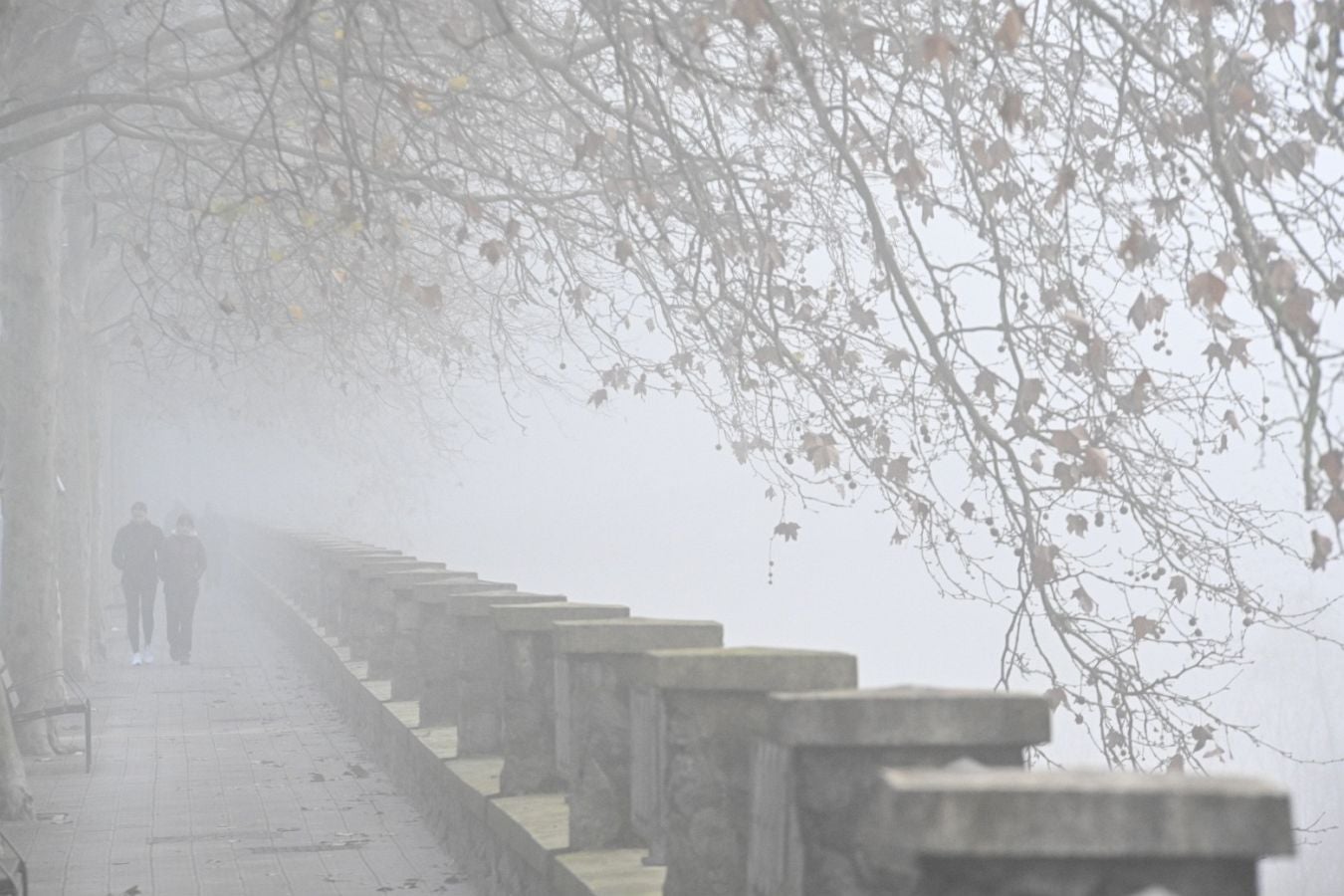 Gipuzkoa amanece bajo una densa niebla