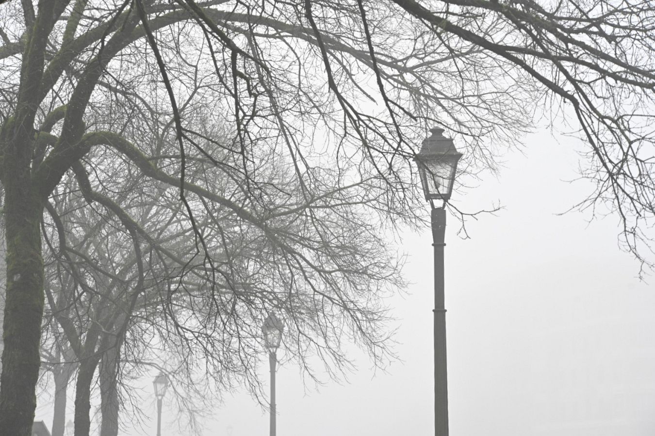 Gipuzkoa amanece bajo una densa niebla