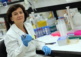 Gloria González Aseguinolaza, Investigadora en el CIMA.