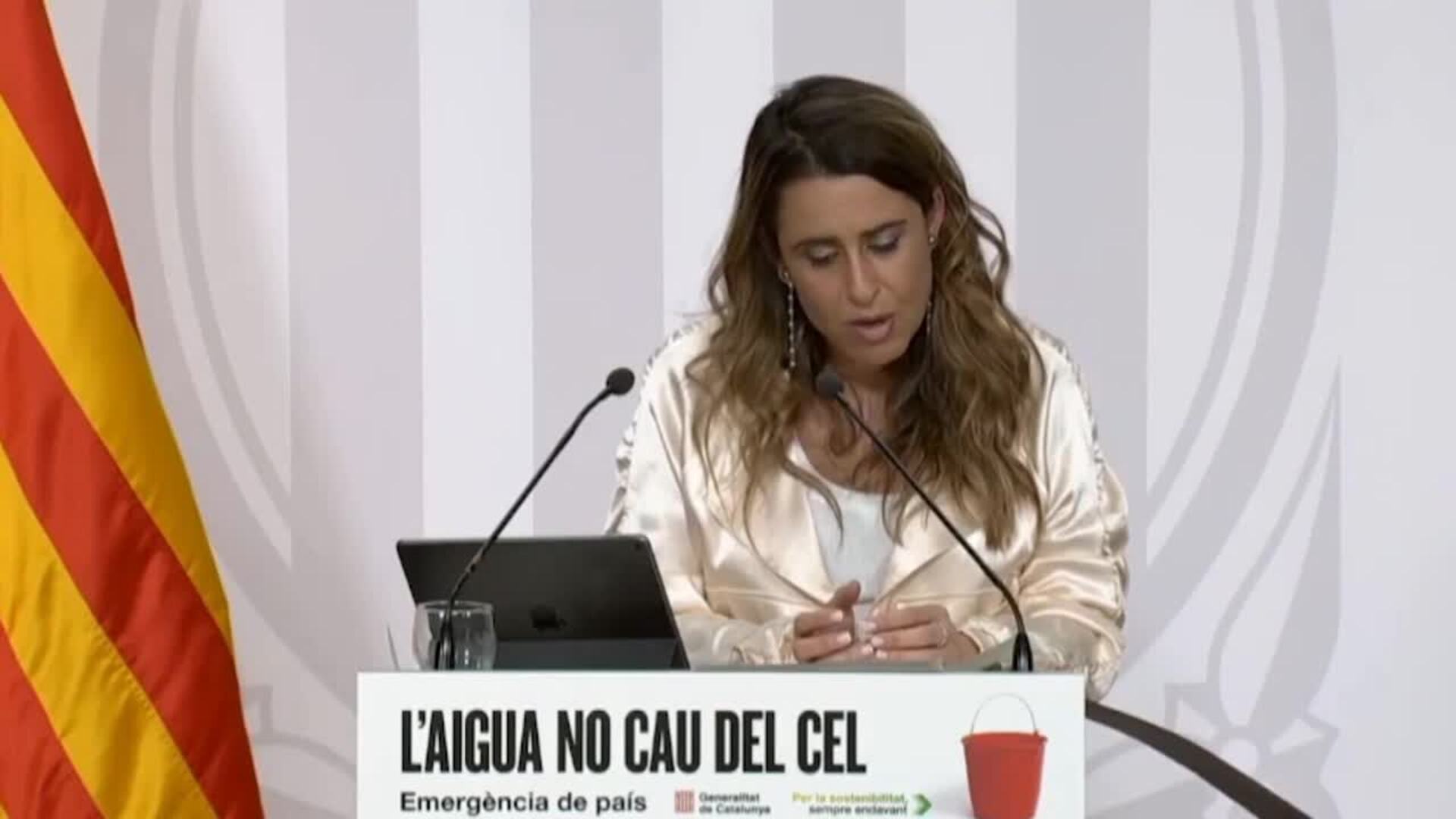 Plaja dice que la ley de amnistía es ''solvente y necesaria''