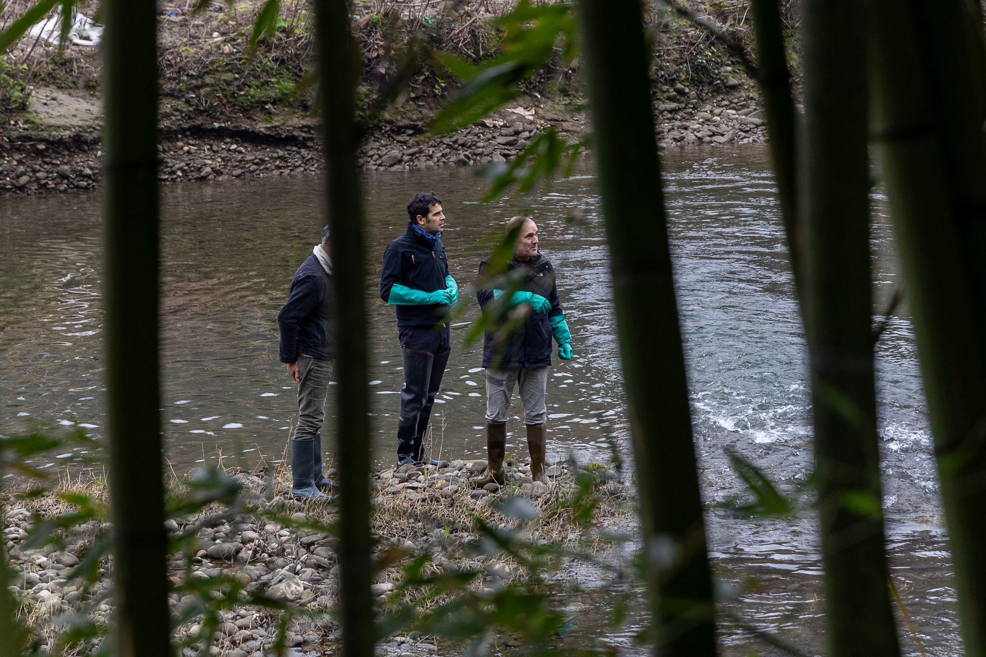 Almejas asiáticas, en Aginaga