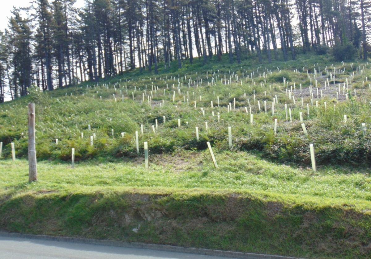 El Ayuntamiento compra 18 hectáreas orientadas a mejoras en biodiversidad