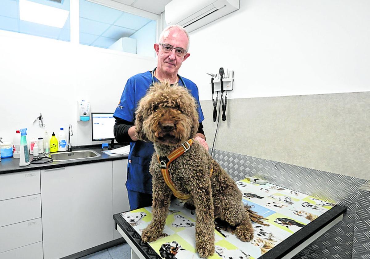 Diego San Sebastián, en su clínica veterinaria de Donostia.