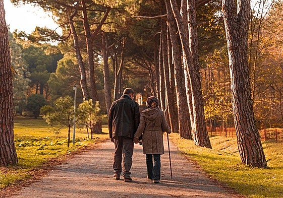 La escritora Tina Fey.