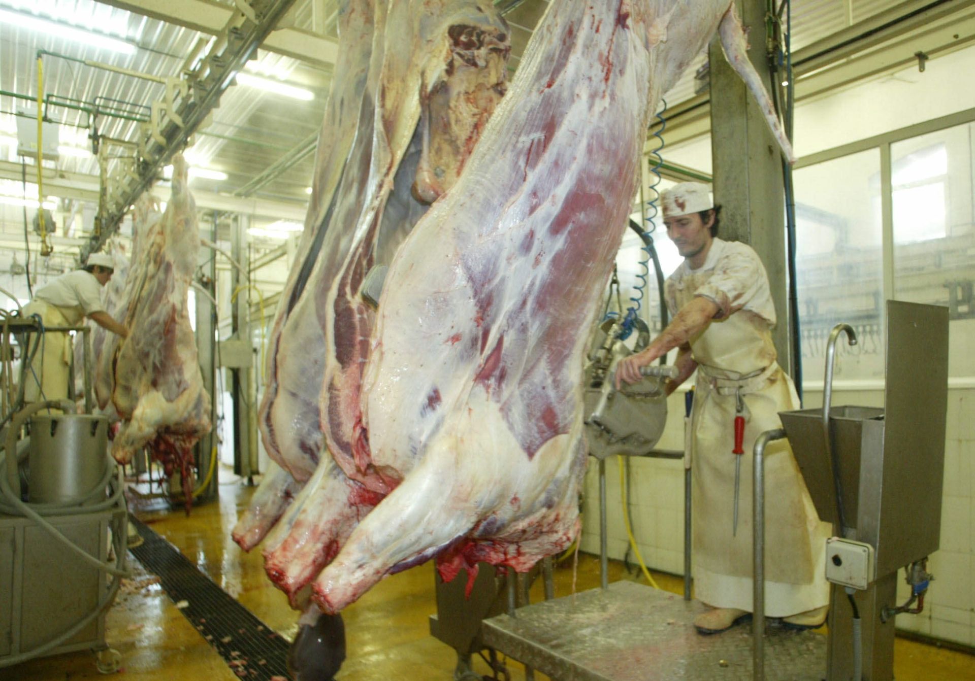 Enba alerta sobre la «grave situación» del matadero de Tolosa