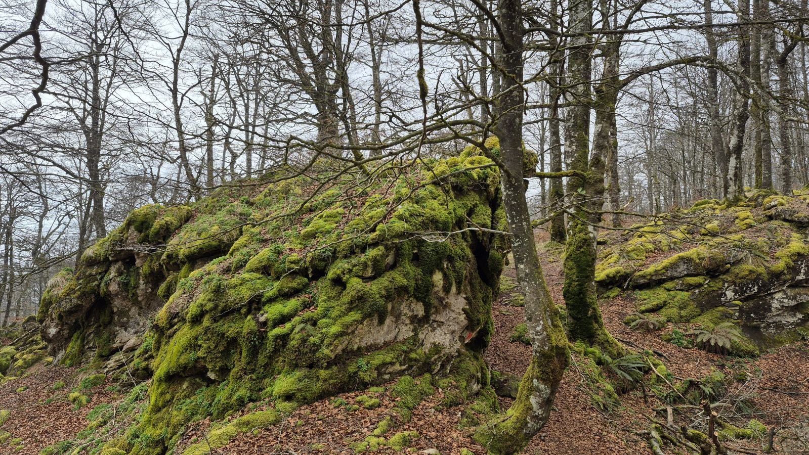 Bargagain, una cima en el museo natural de Urbasa