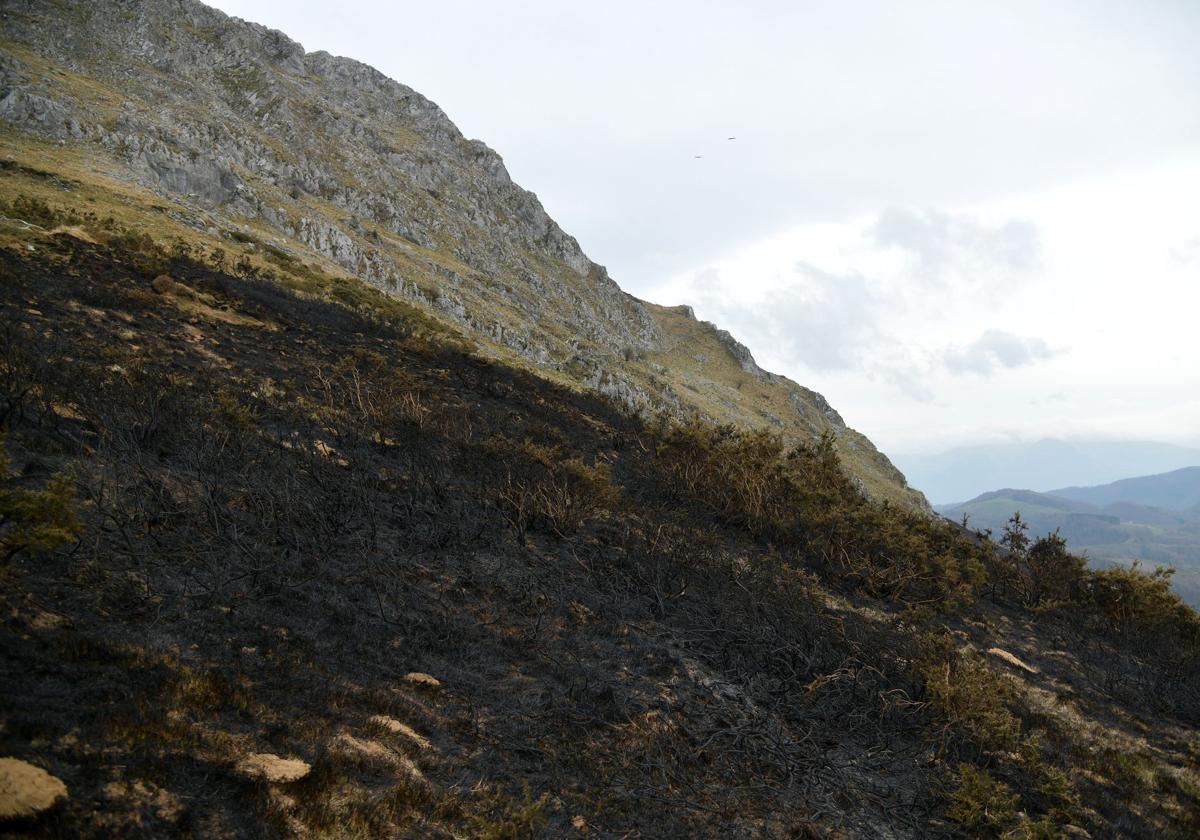 Fuego originado en monte Hernio.